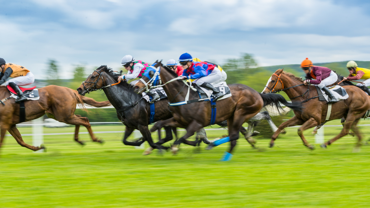 **Experience the Thrill of the Kentucky Derby at Boston's Premier Destinations**