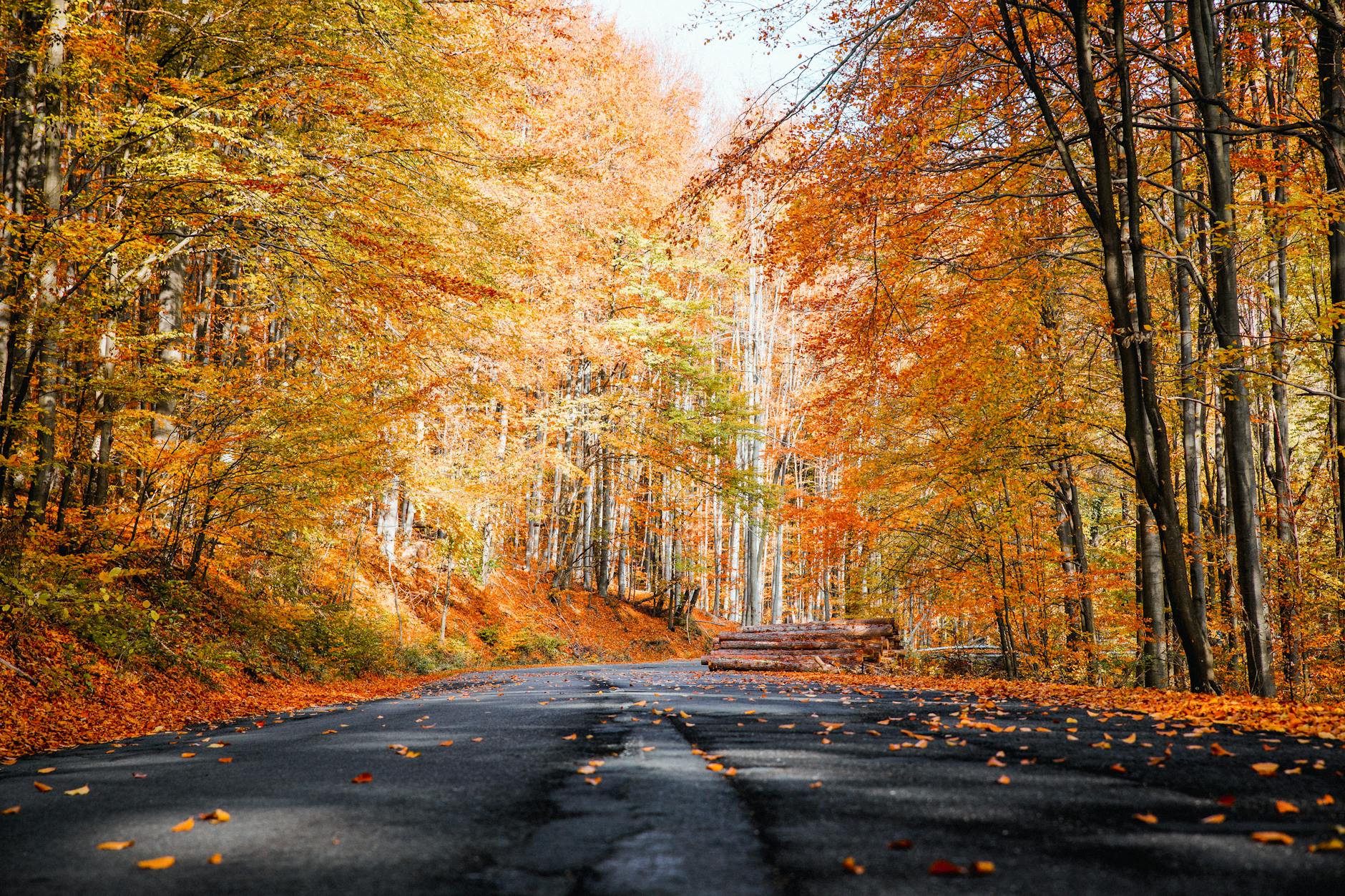 10 scenic fall road trips in New England