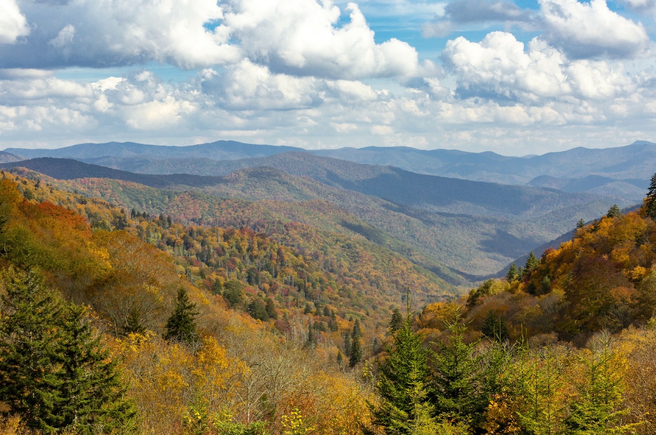 A Bostonian’s Guide to the 2025 U.S. Fall Foliage Forecast