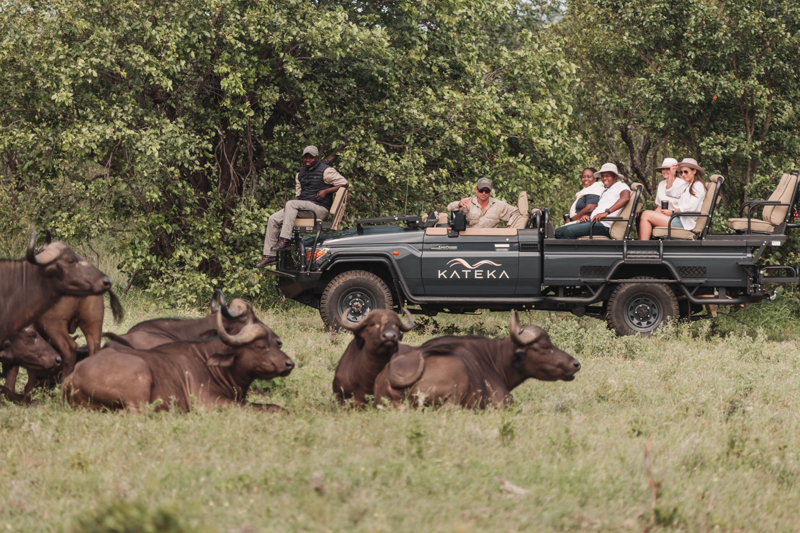 Why Kateka Is the South African Safari Escape to Book Before the End of the Year
