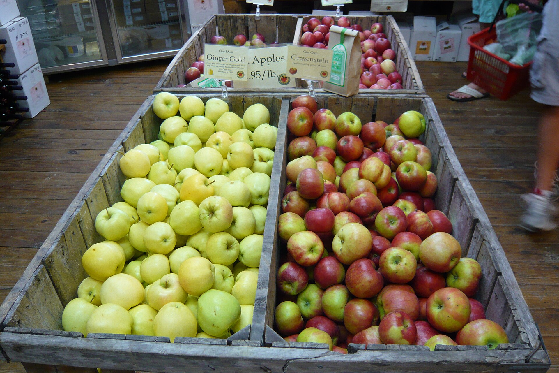 Apples at Russell Orchards in Ipswich, a favorite for apple picking in New England