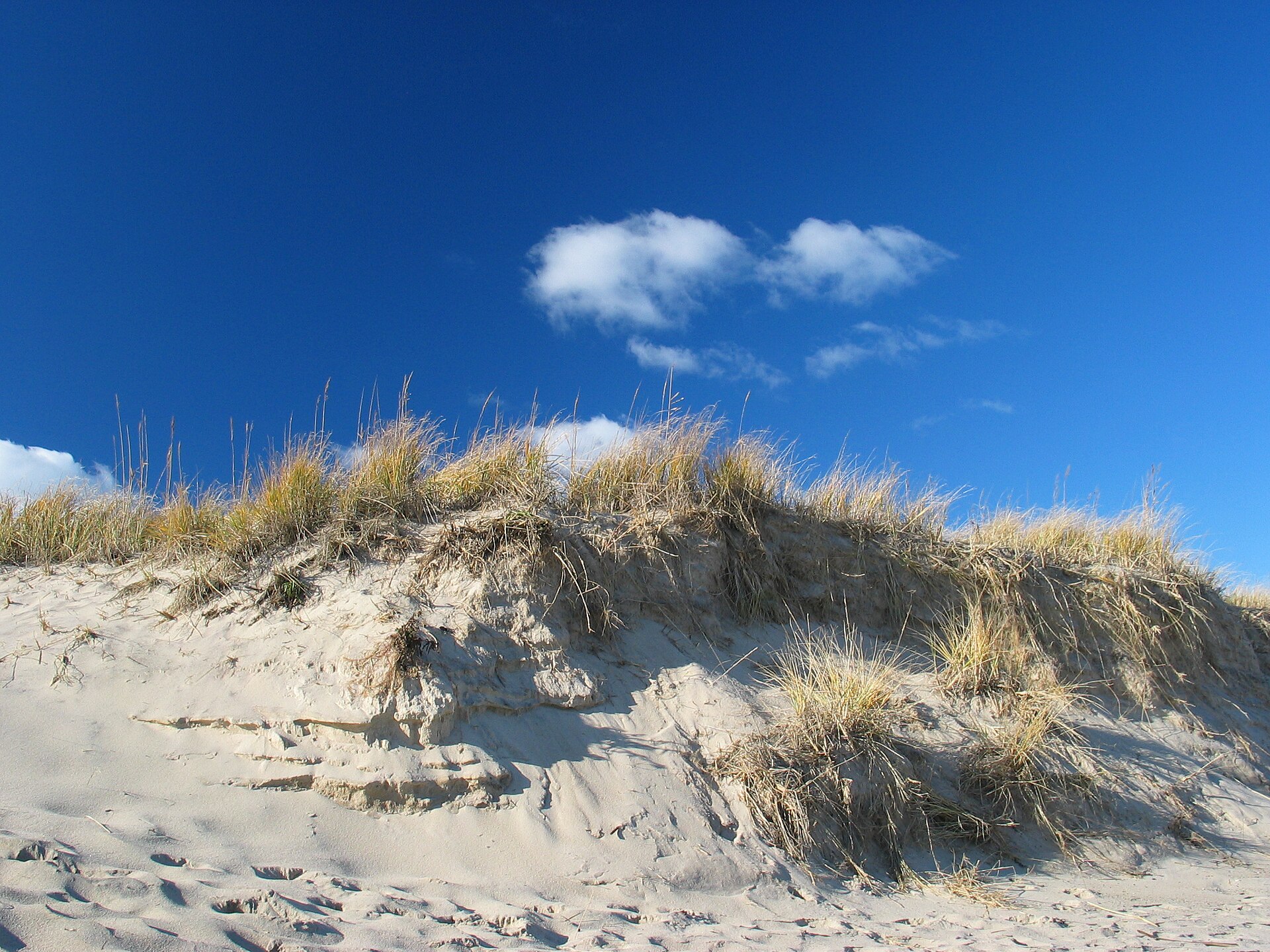 The dunes of Cape Cod in October, when the beaches go quiet