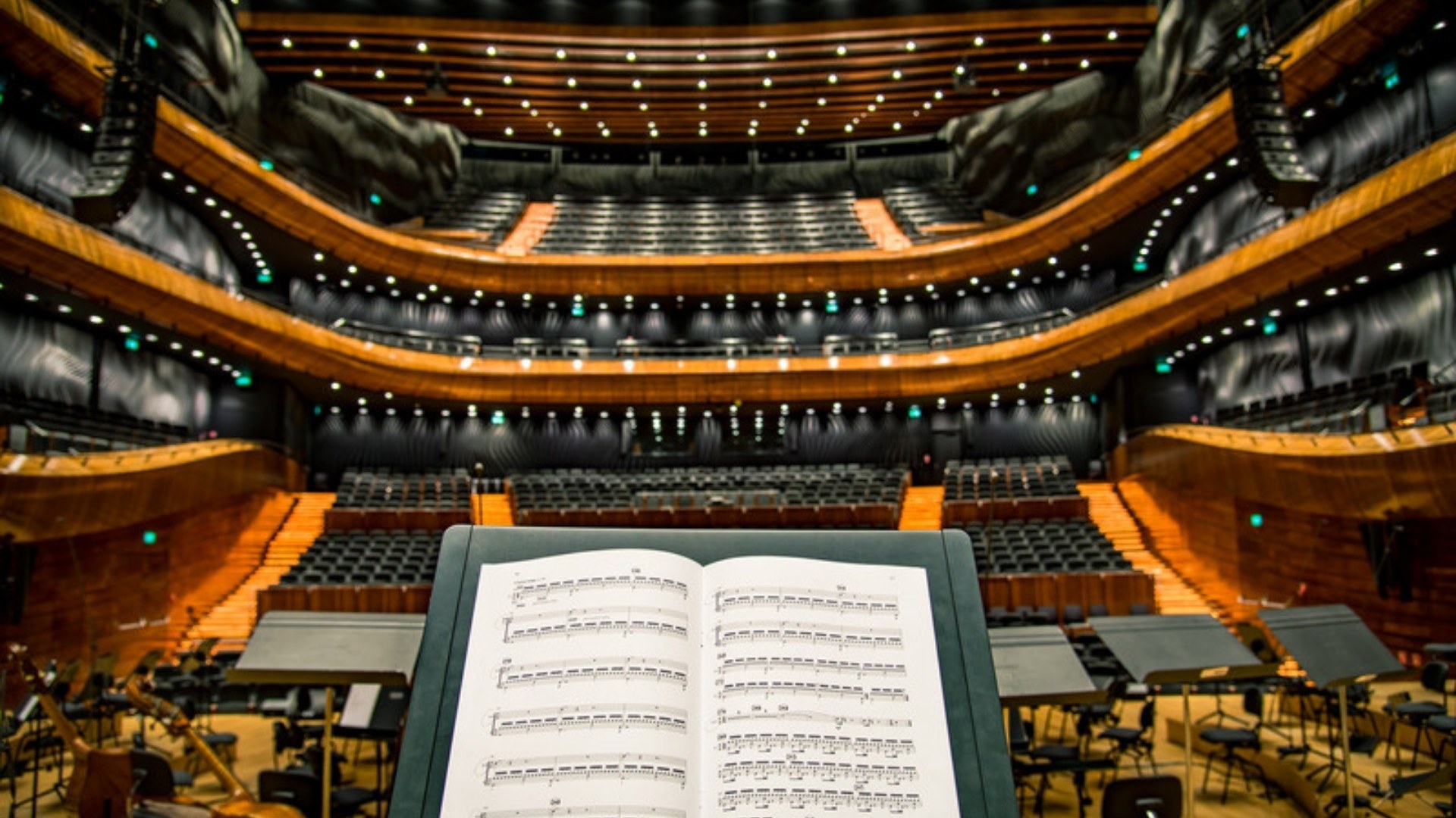 Concert hall seen from the orchestra