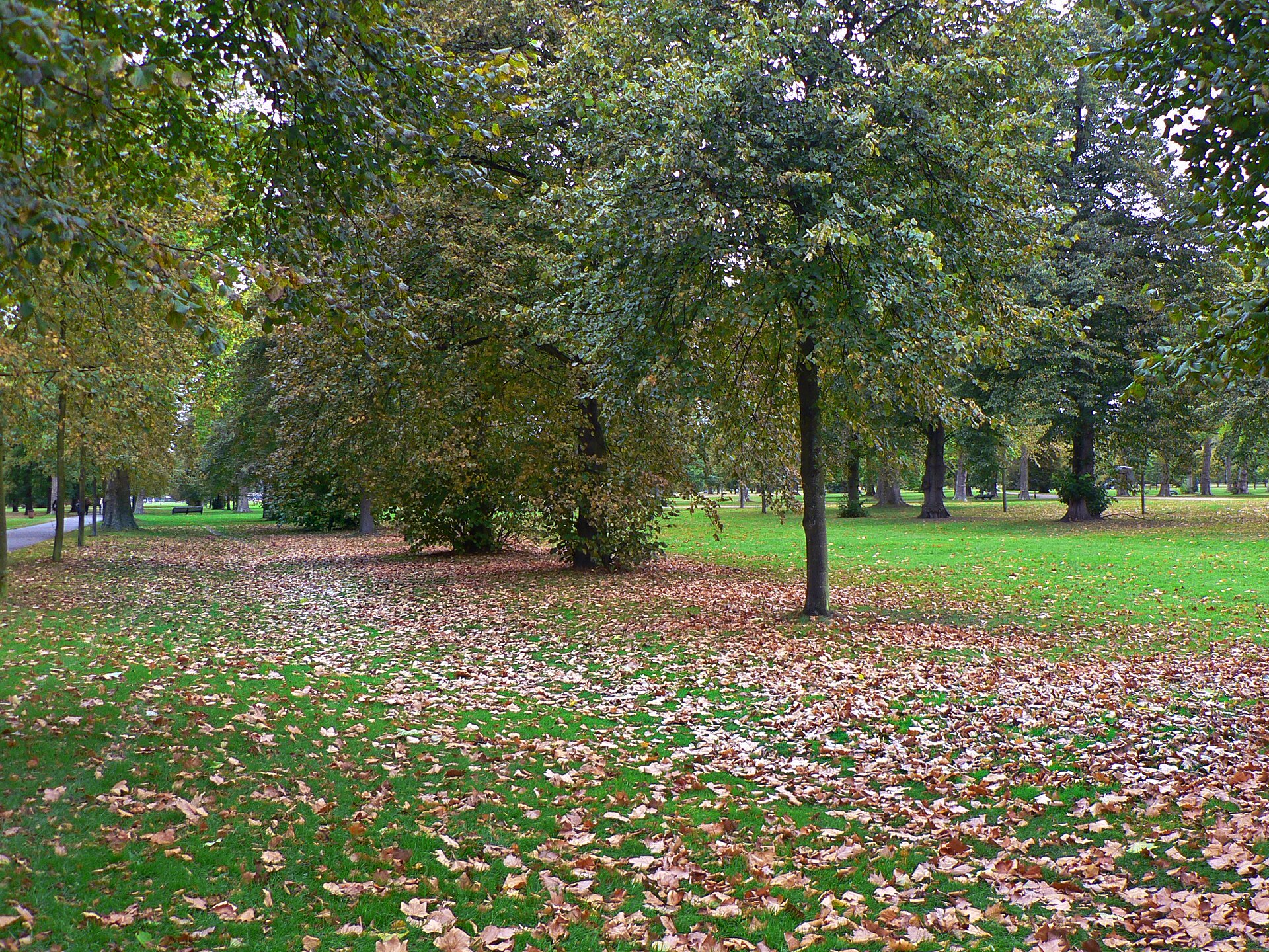 Packing for Rain: London and Paris in Autumn