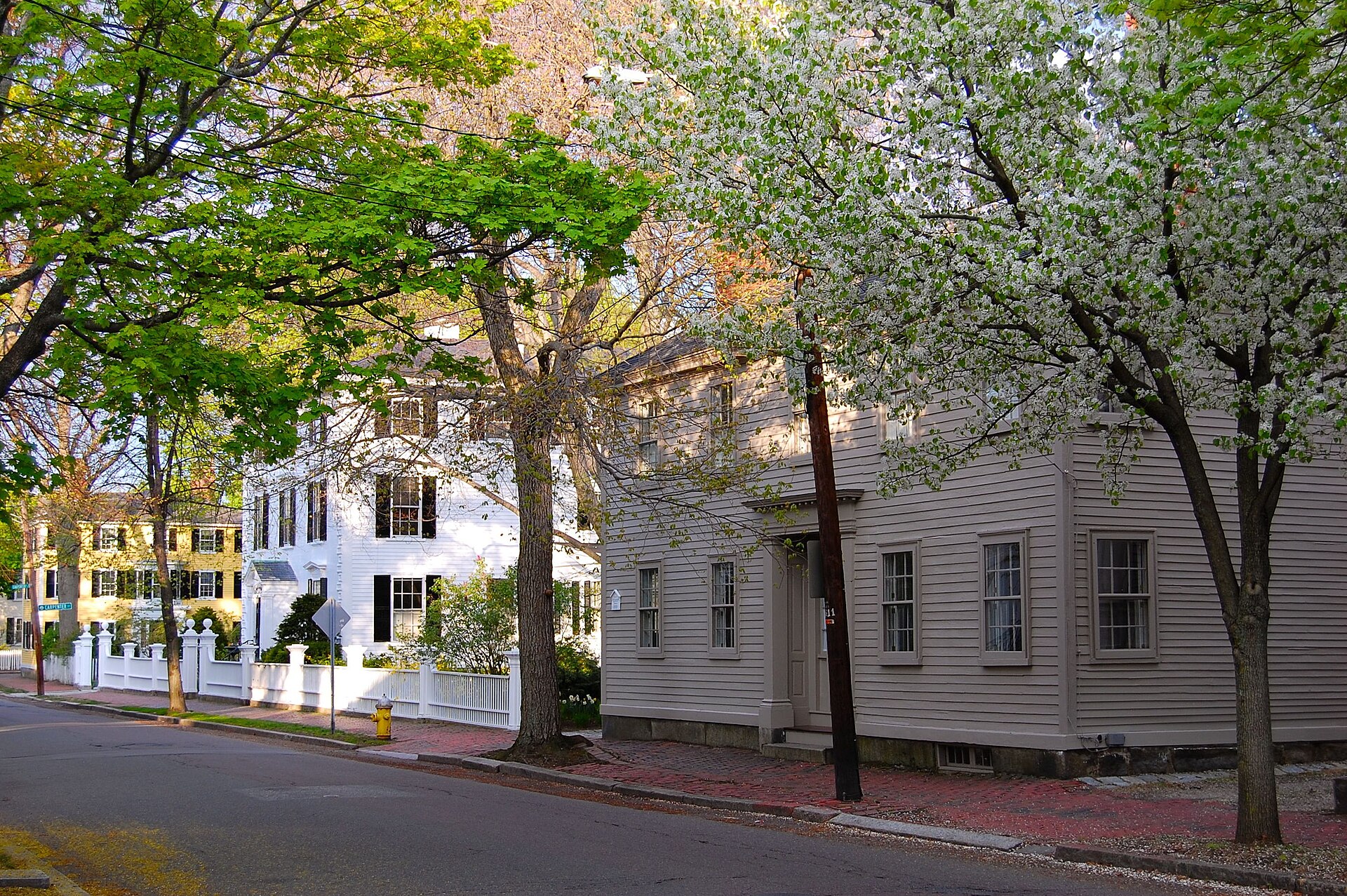 Historic houses on Federal Street in Salem